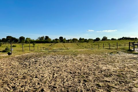 Villa a Montargil, Portalegre, Montargil - € 870.000 | Ref: MDF255 - foto 19