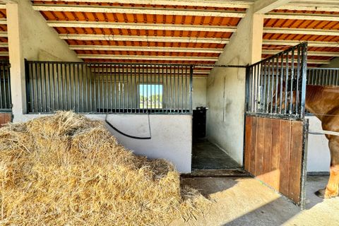 Villa a Montargil, Portalegre, Montargil - € 870.000 | Ref: MDF255 - foto 18