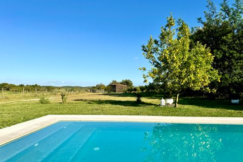 Villa a Montargil, Portalegre, Montargil - € 870.000 | Ref: MDF255 - foto 33