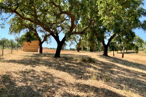 Villa a Montargil, Portalegre, Montargil - € 870.000 | Ref: MDF255 - foto 37