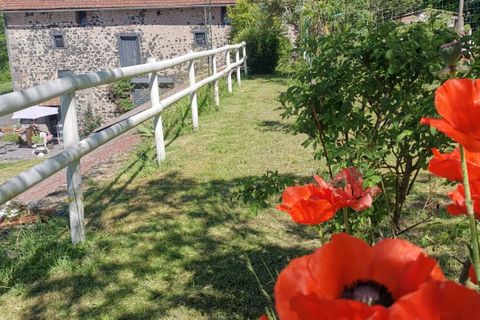 Landejendom i Aurillac, Cantal, Aurillac - € 410.000 | Ref: 394 - foto 7