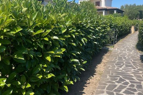 Villa i San Teodoro, Sassari, San Teodoro - € 448.000 | Ref: 597 - foto 41