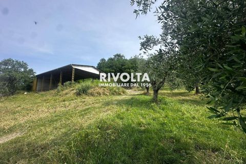 Helårsgrund i Collevecchio, Rieti, Collevecchio - € 330.000 | Ref: AAG Collevecchio terreno - foto 1