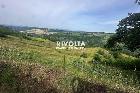 Helårsgrund i Collevecchio, Rieti, Collevecchio - € 330.000 | Ref: AAG Collevecchio terreno - foto 3