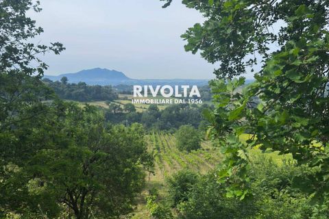 Helårsgrund i Collevecchio, Rieti, Collevecchio - € 330.000 | Ref: AAG Collevecchio terreno - foto 5