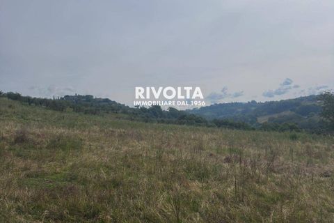 Helårsgrund i Collevecchio, Rieti, Collevecchio - € 330.000 | Ref: AAG Collevecchio terreno - foto 10