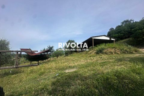 Helårsgrund i Collevecchio, Rieti, Collevecchio - € 330.000 | Ref: AAG Collevecchio terreno - foto 11