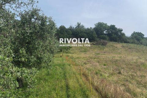 Helårsgrund i Collevecchio, Rieti, Collevecchio - € 330.000 | Ref: AAG Collevecchio terreno - foto 12