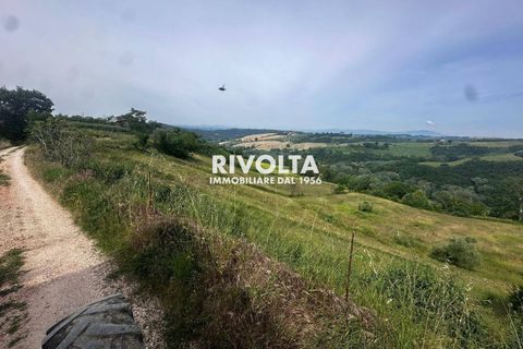 Helårsgrund i Collevecchio, Rieti, Collevecchio - € 330.000 | Ref: AAG Collevecchio terreno - foto 13