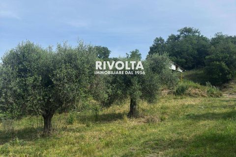 Helårsgrund i Collevecchio, Rieti, Collevecchio - € 330.000 | Ref: AAG Collevecchio terreno - foto 14