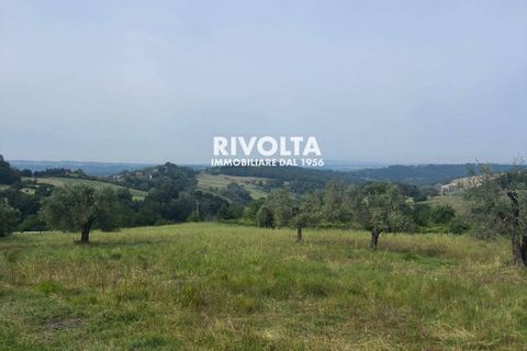 Helårsgrund i Collevecchio, Rieti, Collevecchio - € 330.000 | Ref: AAG Collevecchio terreno - foto 15