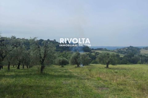 Helårsgrund i Collevecchio, Rieti, Collevecchio - € 330.000 | Ref: AAG Collevecchio terreno - foto 17