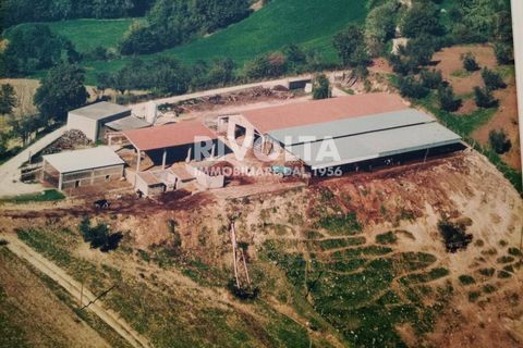 Helårsgrund i Collevecchio, Rieti, Collevecchio - € 330.000 | Ref: AAG Collevecchio terreno - foto 18