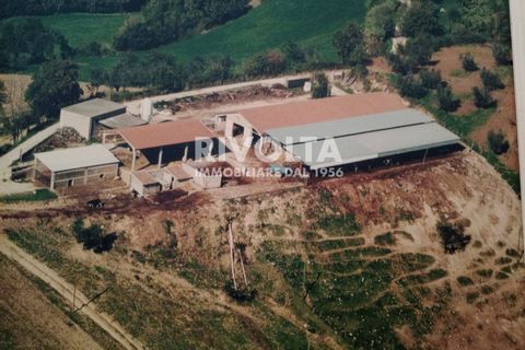 Helårsgrund i Collevecchio, Rieti, Collevecchio - € 330.000 | Ref: AAG Collevecchio terreno - foto 19