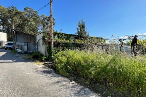 Helårsgrund i Paredes, Porto, Paredes - € 99.000 | Ref: C0510-00314 - foto 5