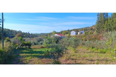 Villa i Macao, Santarem, Macao - € 65.000 | Ref: CAS_320 - foto 41