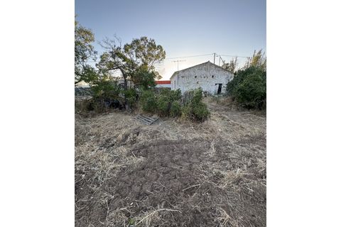 Landejendom i Conceicao e Estoi, Faro, Conceicao e Estoi - € 295.000 | Ref: 381250036 - foto 4