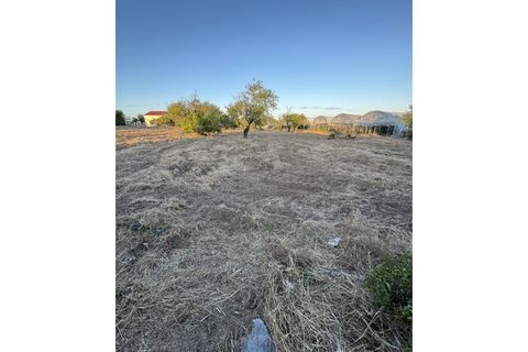 Landejendom i Conceicao e Estoi, Faro, Conceicao e Estoi - € 295.000 | Ref: 381250036 - foto 11