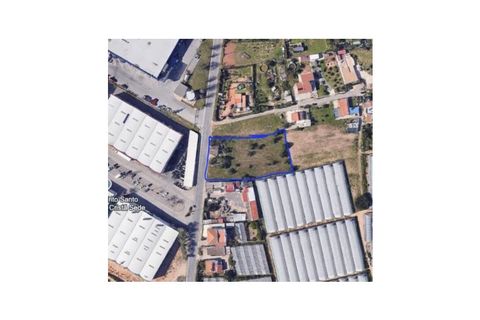 Landejendom i Conceicao e Estoi, Faro, Conceicao e Estoi - € 295.000 | Ref: 381250036 - foto 14