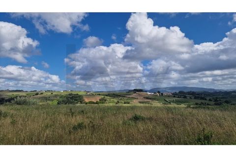 Helårsgrund i Carvalhal, Leiria, Carvalhal - € 1.500.000 | Ref: KWPT-013870 - foto 9
