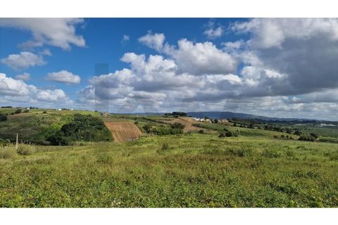 Helårsgrund i Carvalhal, Leiria, Carvalhal - € 1.500.000 | Ref: KWPT-013870 - foto 10