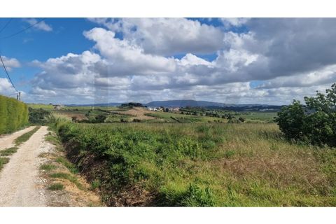 Helårsgrund i Carvalhal, Leiria, Carvalhal - € 1.500.000 | Ref: KWPT-013870 - foto 12