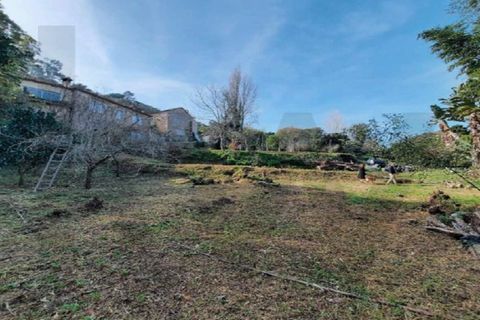 Helårsgrund i Sintra, Lisbon, Sintra - € 990.000 | Ref: KWPT-012474 - foto 3