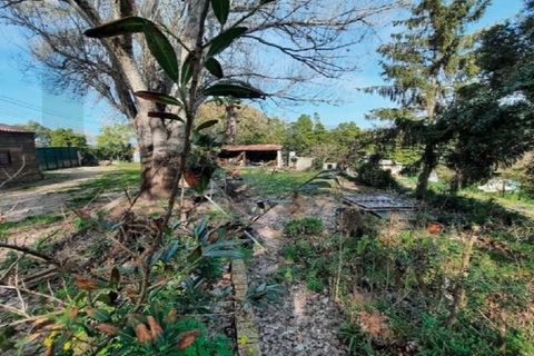 Helårsgrund i Sintra, Lisbon, Sintra - € 990.000 | Ref: KWPT-012474 - foto 4