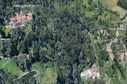 Helårsgrund i Sintra, Lisbon, Sintra - € 990.000 | Ref: KWPT-012474 - foto 6