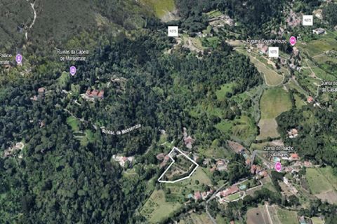 Helårsgrund i Sintra, Lisbon, Sintra - € 990.000 | Ref: KWPT-012474 - foto 7