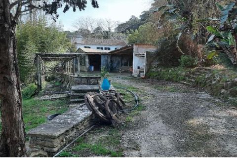 Helårsgrund i Sintra, Lisbon, Sintra - € 990.000 | Ref: KWPT-012474 - foto 10