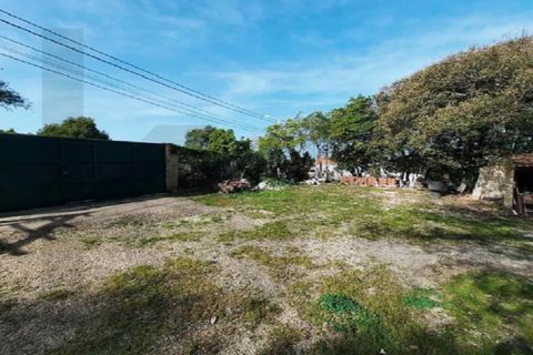 Helårsgrund i Sintra, Lisbon, Sintra - € 990.000 | Ref: KWPT-012474 - foto 11