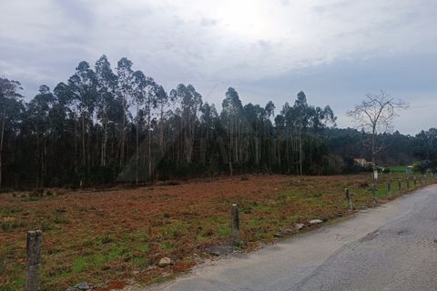 Helårsgrund i Barcelos, Braga, Barcelos - € 135.000 | Ref: MDS4143 - foto 2