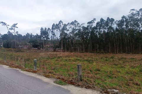 Helårsgrund i Barcelos, Braga, Barcelos - € 135.000 | Ref: MDS4143 - foto 3