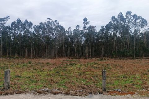 Helårsgrund i Barcelos, Braga, Barcelos - € 135.000 | Ref: MDS4143 - foto 4