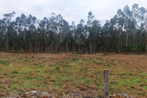 Helårsgrund i Barcelos, Braga, Barcelos - € 135.000 | Ref: MDS4143 - foto 5