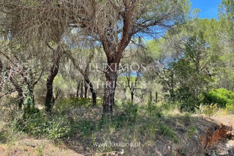 Helårsgrund i Quinta do Lago, Faro, Quinta do Lago - € 350.000 | Ref: 1LS02220 - foto 4