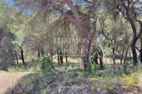 Helårsgrund i Quinta do Lago, Faro, Quinta do Lago - € 350.000 | Ref: 1LS02220 - foto 5