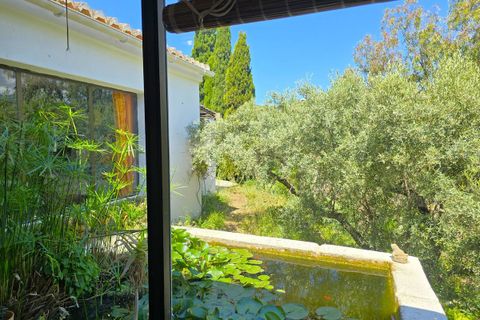 Villa i Torrox, Malaga, Torrox - € 880.000 | Ref: R5044738 - foto 43