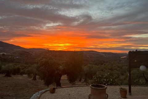 Landejendom i Algodonales, Cadiz, Algodonales - € 395.000 | Ref: z610 - foto 20