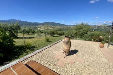 Landejendom i Algodonales, Cadiz, Algodonales - € 395.000 | Ref: z610 - foto 32