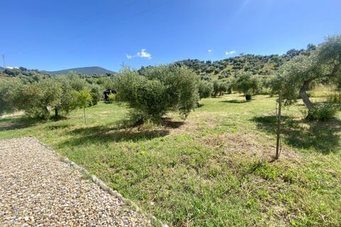 Landejendom i Algodonales, Cadiz, Algodonales - € 395.000 | Ref: z610 - foto 30