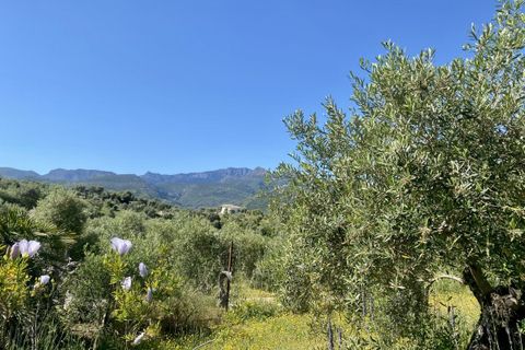 Landejendom i Algodonales, Cadiz, Algodonales - € 395.000 | Ref: z610 - foto 31