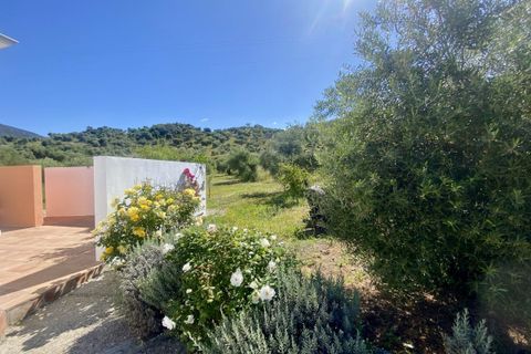 Landejendom i Algodonales, Cadiz, Algodonales - € 395.000 | Ref: z610 - foto 34