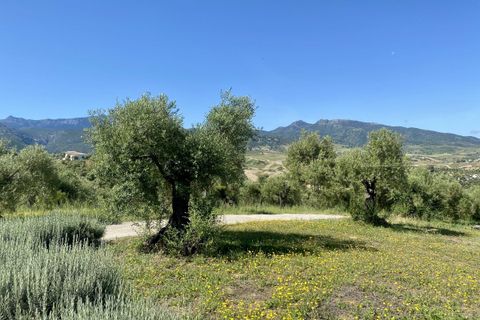 Landejendom i Algodonales, Cadiz, Algodonales - € 395.000 | Ref: z610 - foto 35