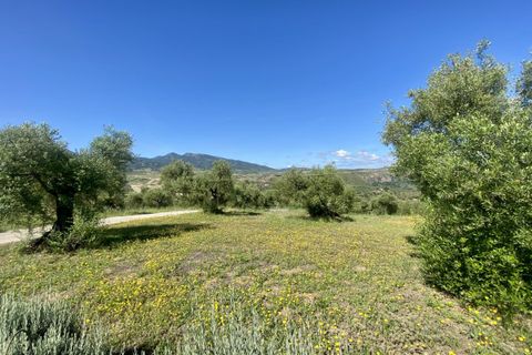 Landejendom i Algodonales, Cadiz, Algodonales - € 395.000 | Ref: z610 - foto 36