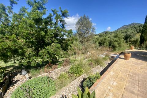 Landejendom i Algodonales, Cadiz, Algodonales - € 395.000 | Ref: z610 - foto 37