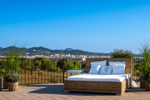Finca i Manacor, Mallorca, Manacor - € 1.998.000 | Ref: 81582 - foto 7
