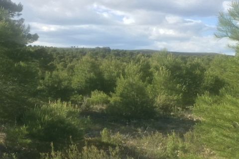 Helårsgrund i Ayora, Valencia, Ayora - € 25.000 | Ref: S-1495539 - foto 2