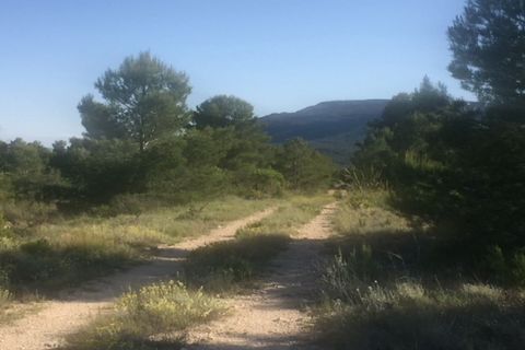 Helårsgrund i Ayora, Valencia, Ayora - € 25.000 | Ref: S-1495539 - foto 3